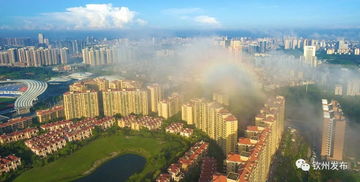 欽州發(fā)文加強(qiáng)房地產(chǎn)市場(chǎng)調(diào)控，促進(jìn)房地產(chǎn)開發(fā)行業(yè)健康發(fā)展