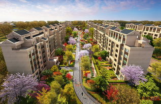 上海首創(chuàng)禧悅·晴朗 全景解析配套實景、樣板間與戶型設(shè)計